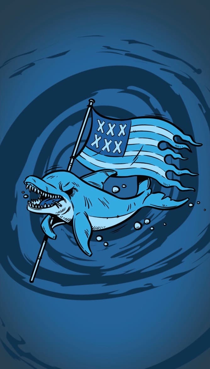 Funda — Delfín y bandera