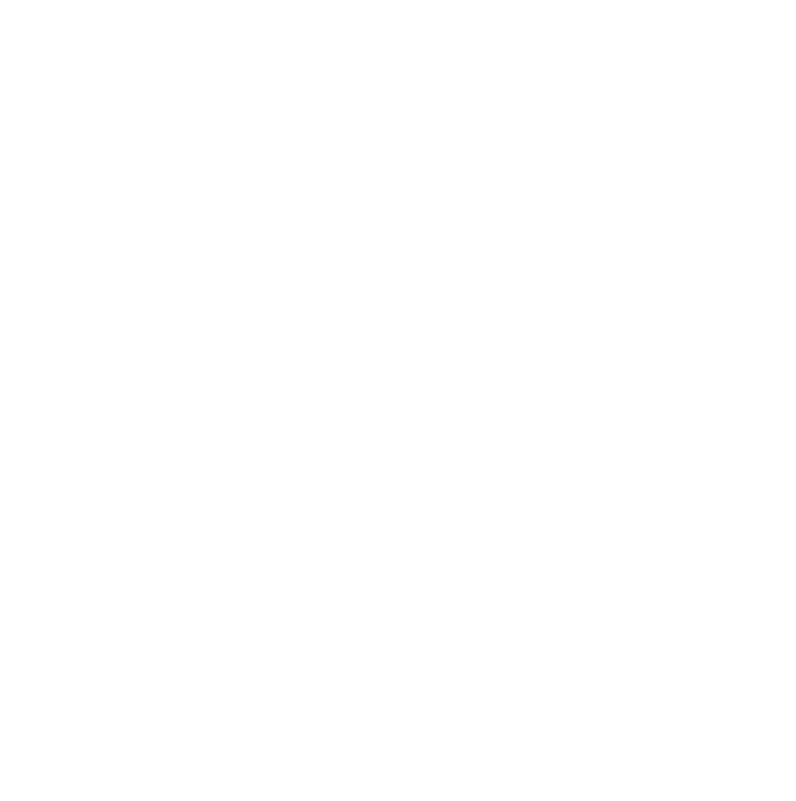 No Flag Patriots
